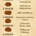 rudraksha benefits